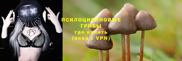 ALPHA PVP Алексин