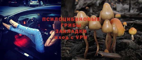 твердый Алексеевка