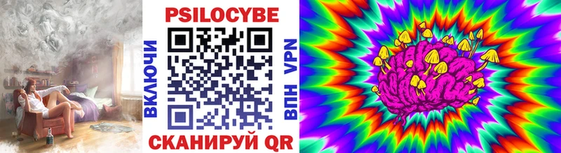 Галлюциногенные грибы ЛСД  как найти   Сенгилей 